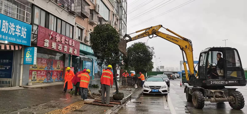 绵阳达坤园林绿化有限公司